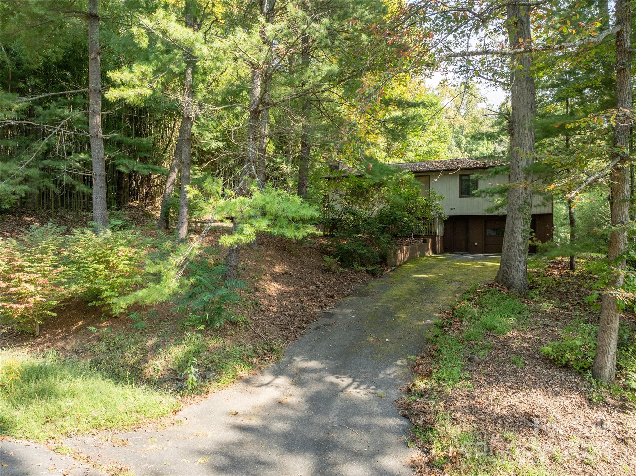 107 Beech Valley Estate Weaverville NC 28787