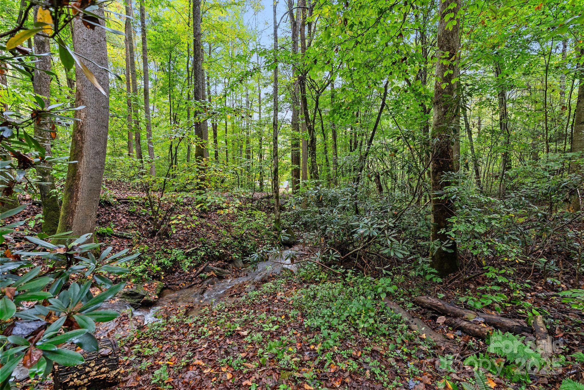 340 Henry Dingus Way Maggie Valley NC 28751