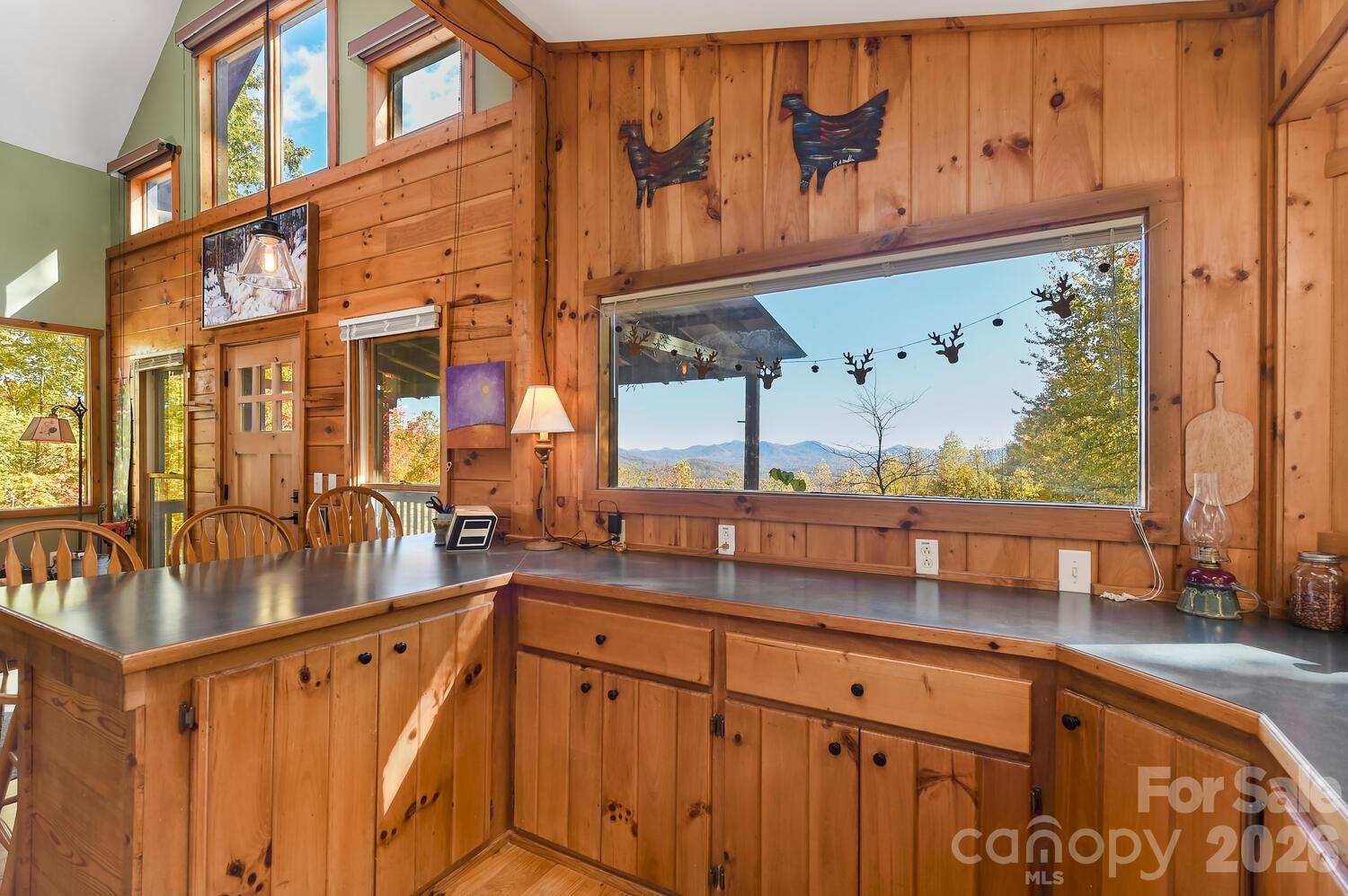 121 Pairofdice Way Lake Lure NC 28746