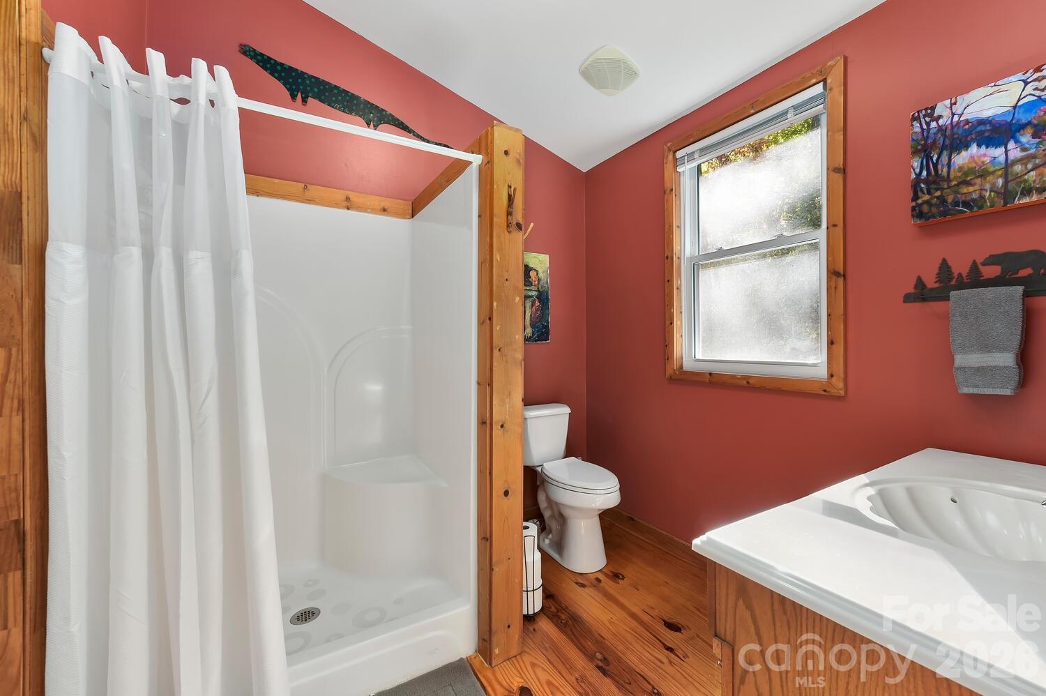 121 Pairofdice Way Lake Lure NC 28746