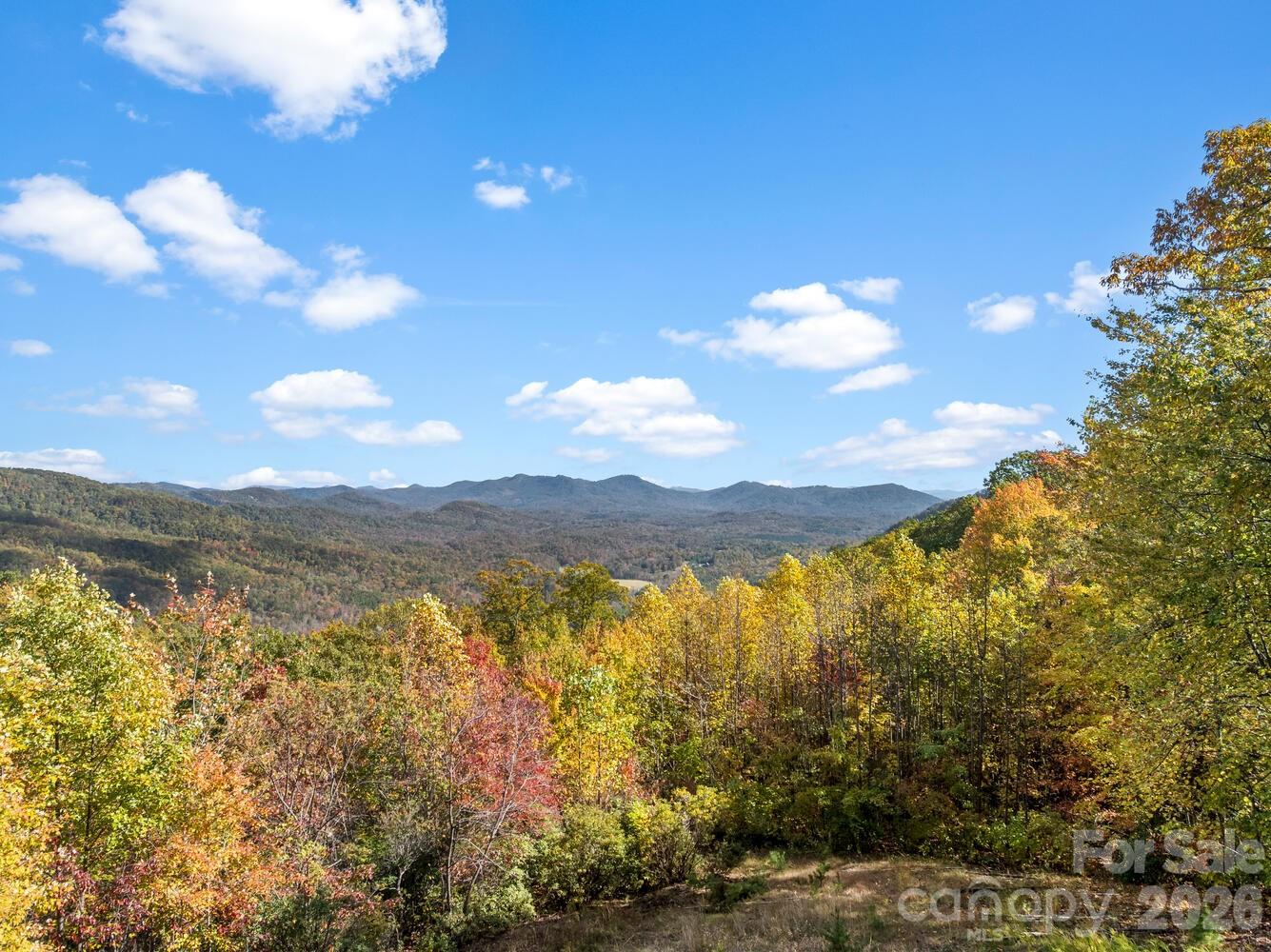 121 Pairofdice Way Lake Lure NC 28746