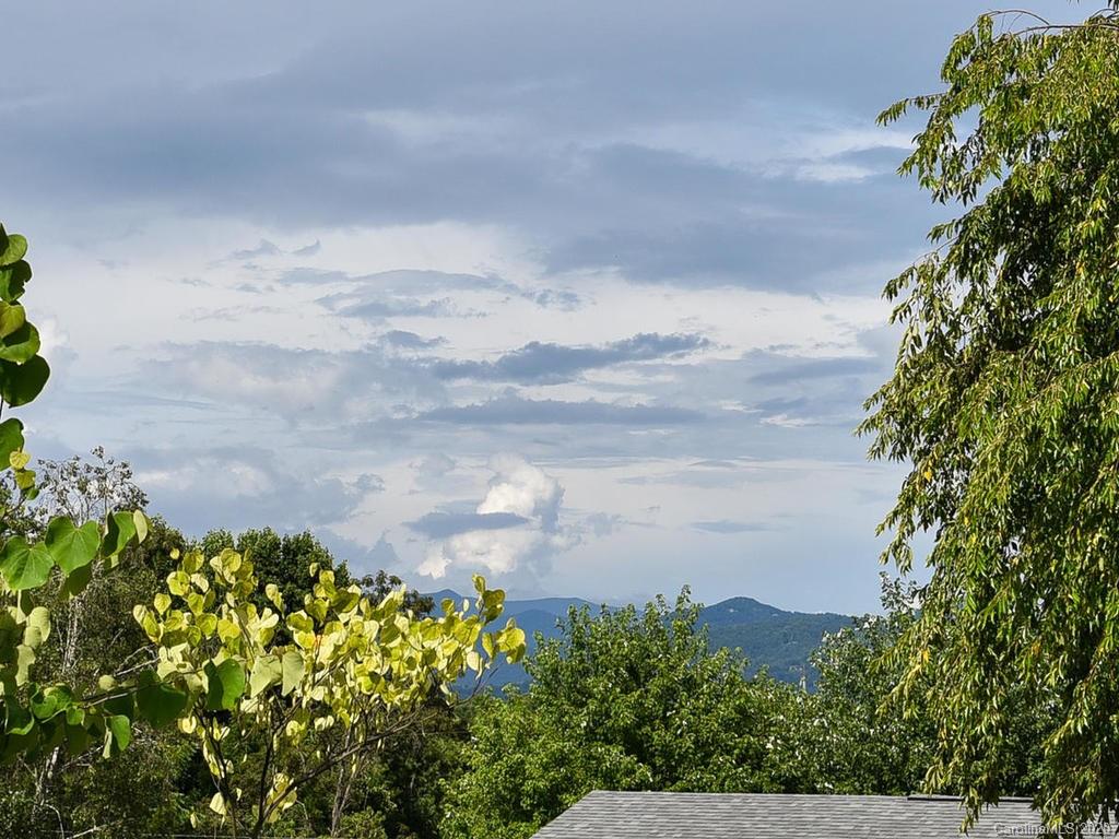 78 Smith Graveyard Road Asheville NC 28806
