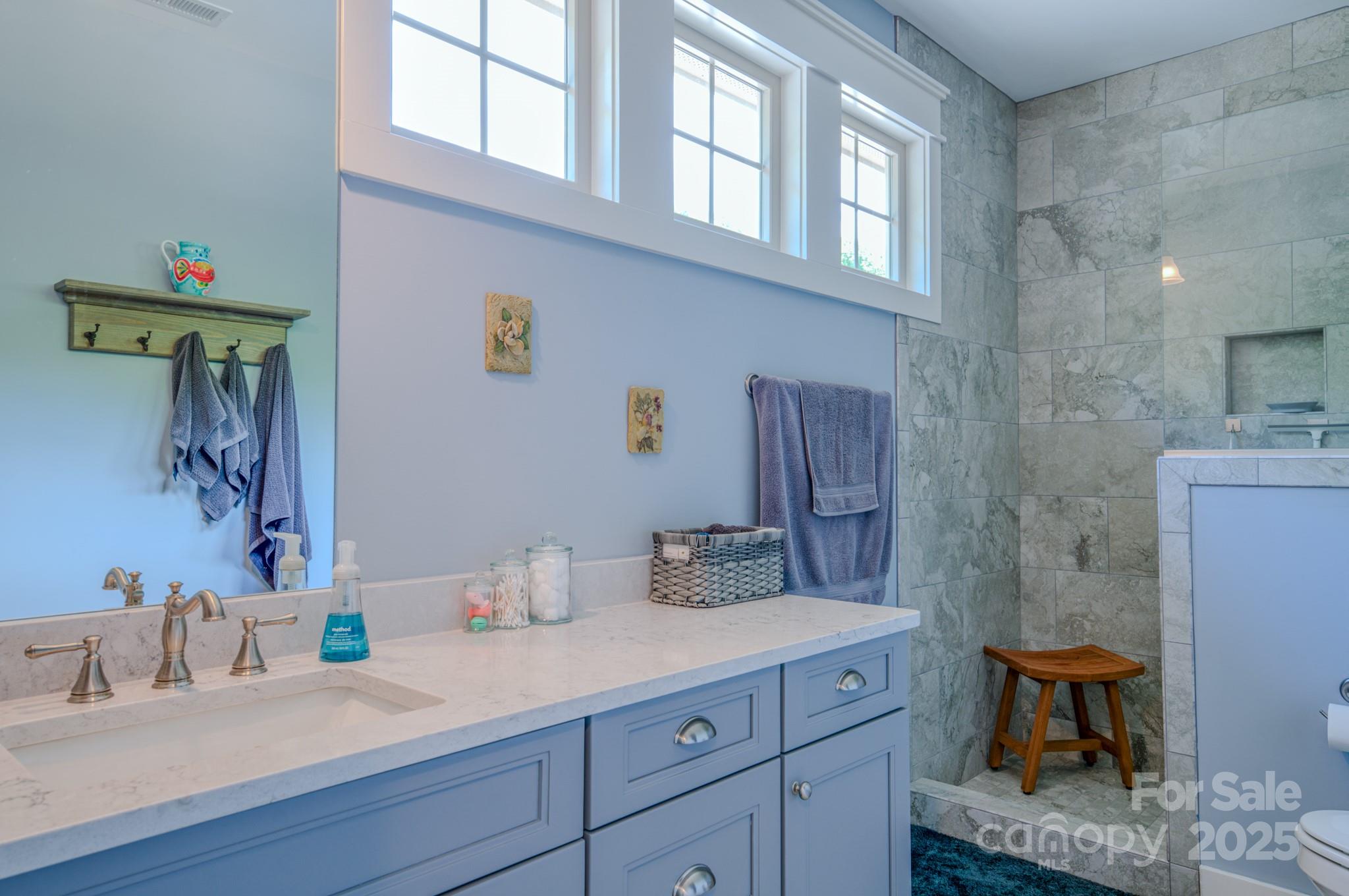 552 Sweet Birch Park Lane Black Mountain NC 28711