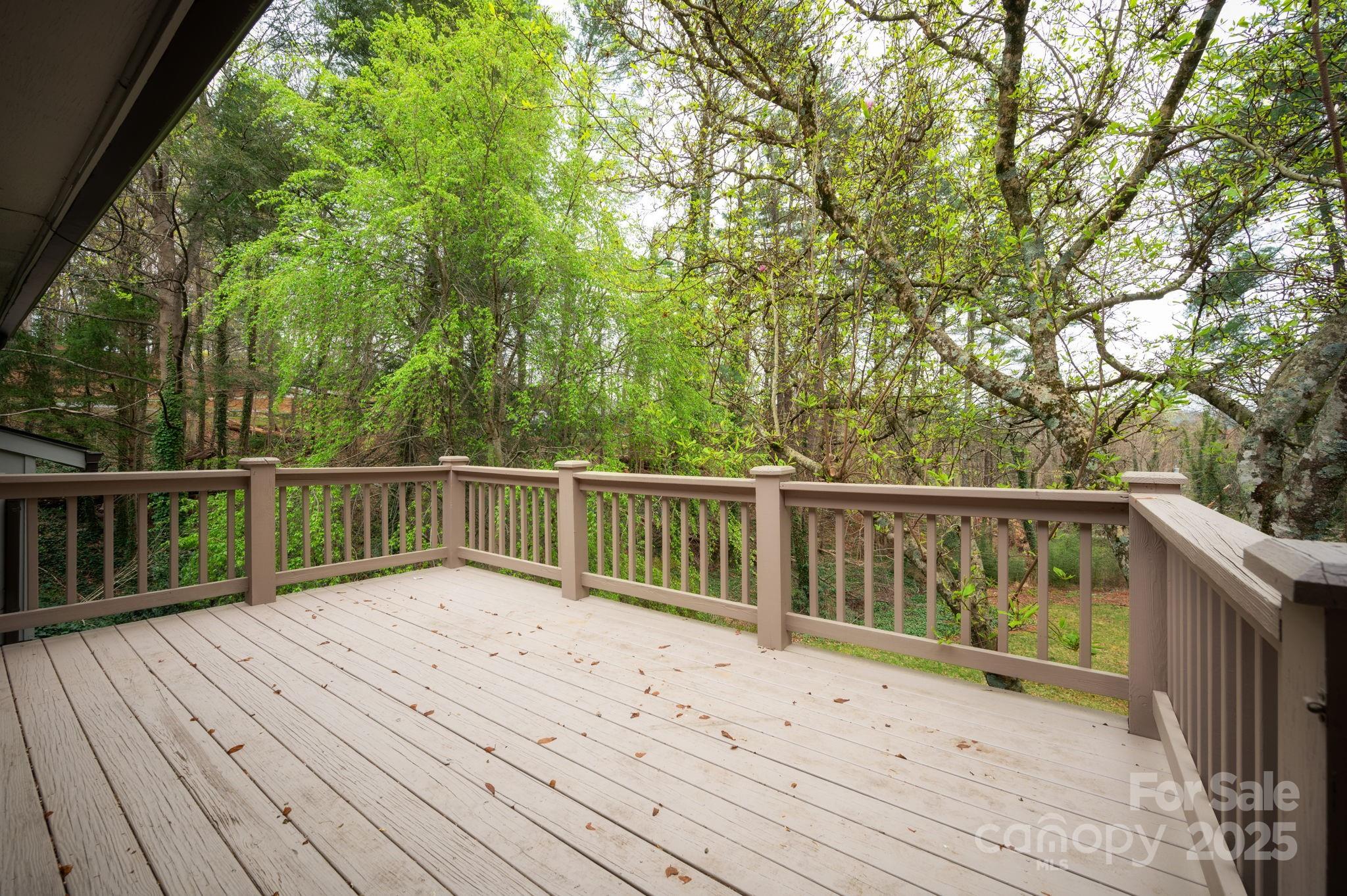 48 Stratford Road Asheville NC 28804