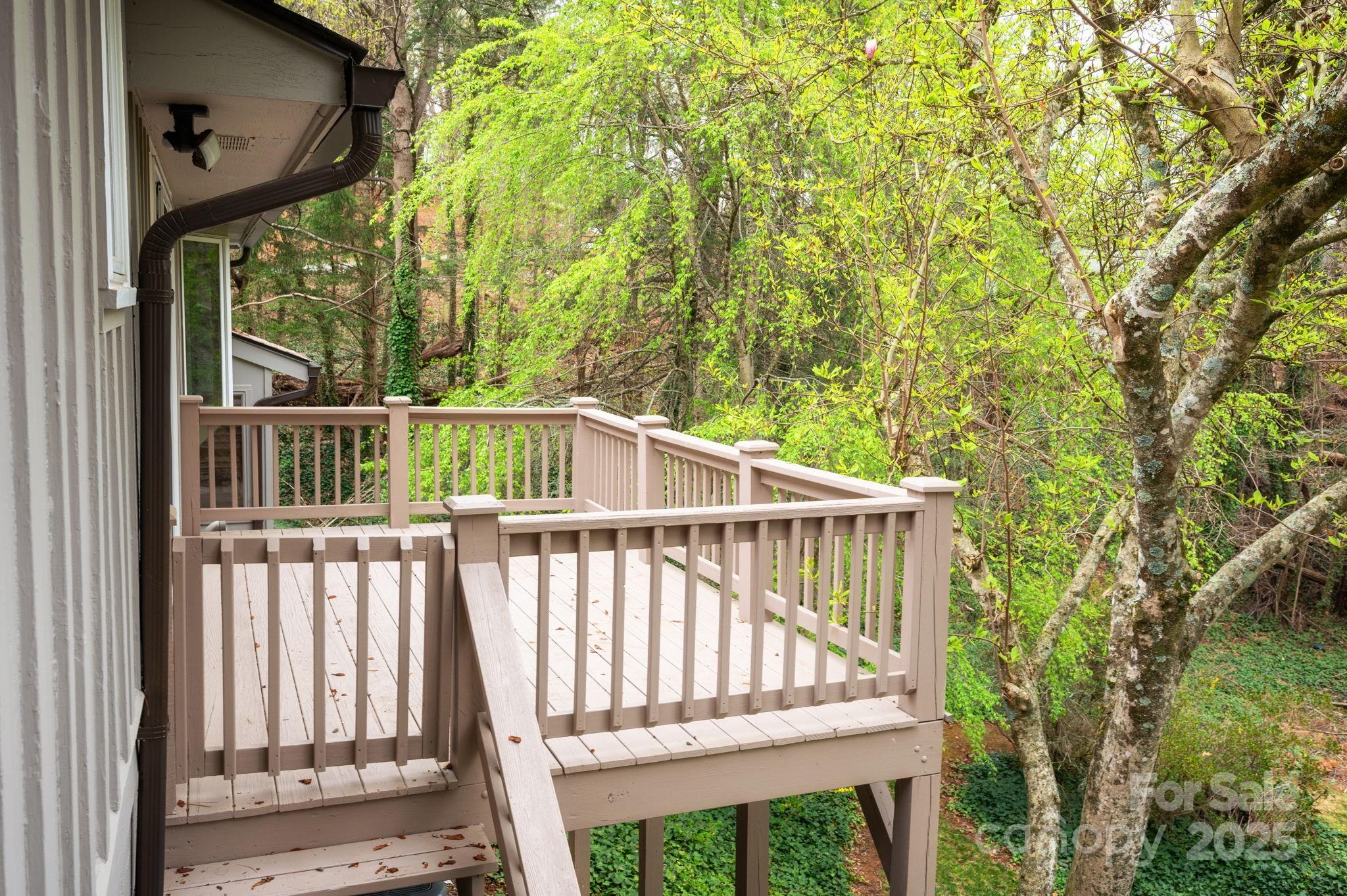 48 Stratford Road Asheville NC 28804