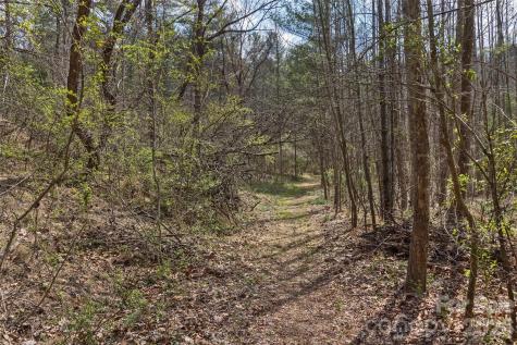 37 Creekside View Drive Asheville NC 28804
