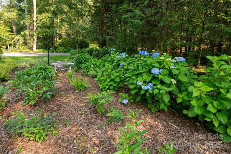 69 Forest Road Asheville NC 28803