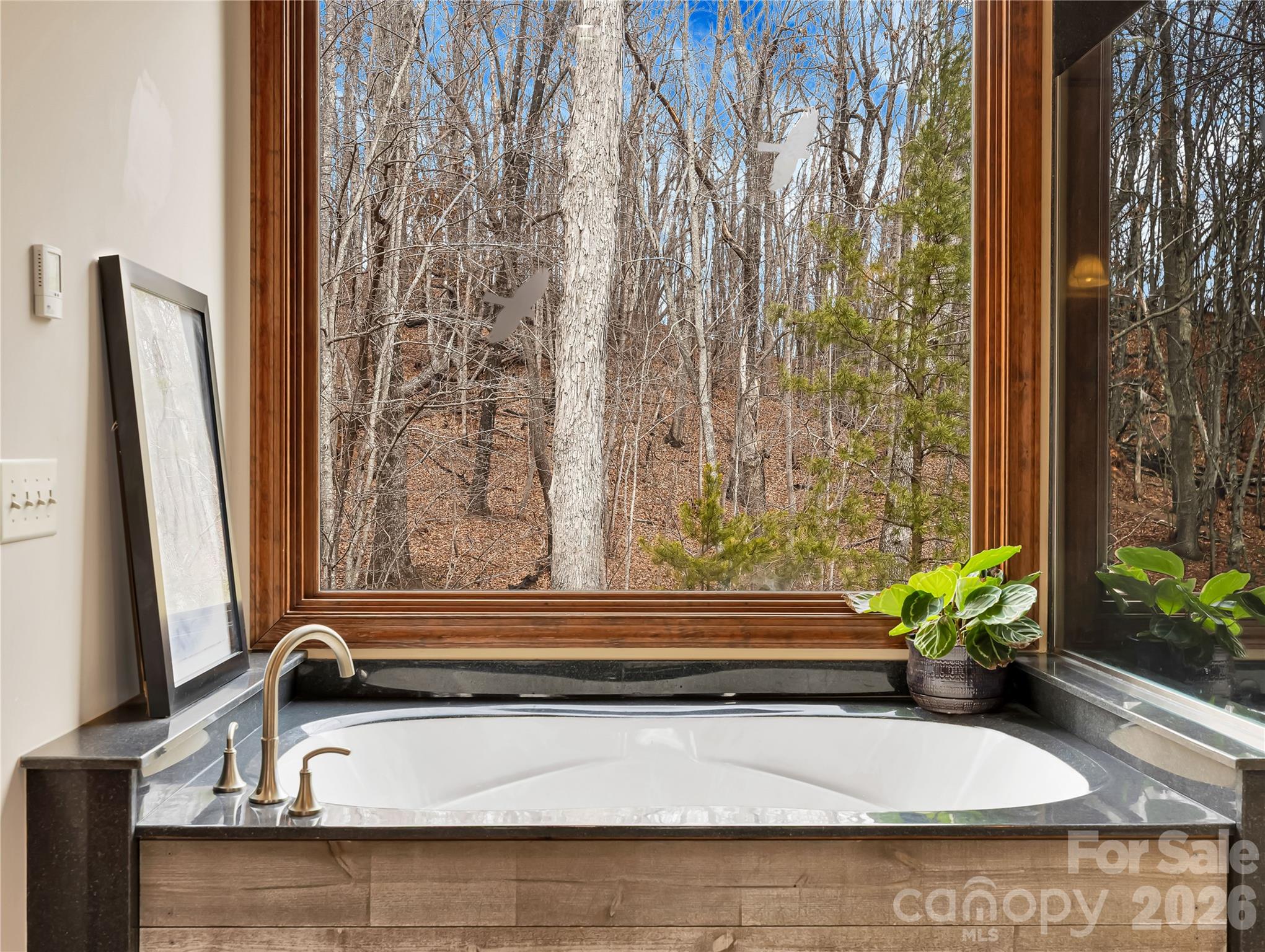 184 Deep Woods Lane Saluda NC 28773