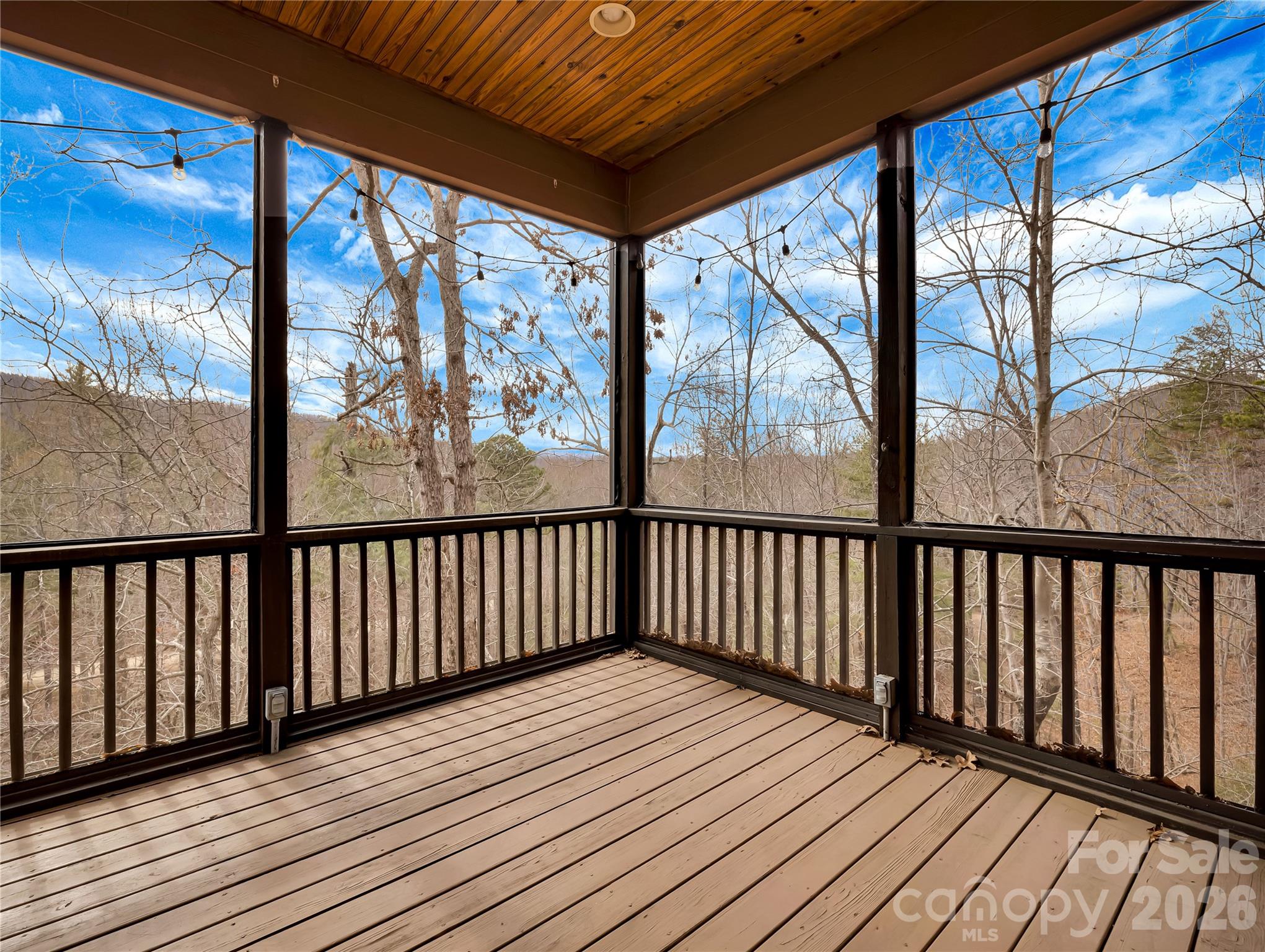 184 Deep Woods Lane Saluda NC 28773