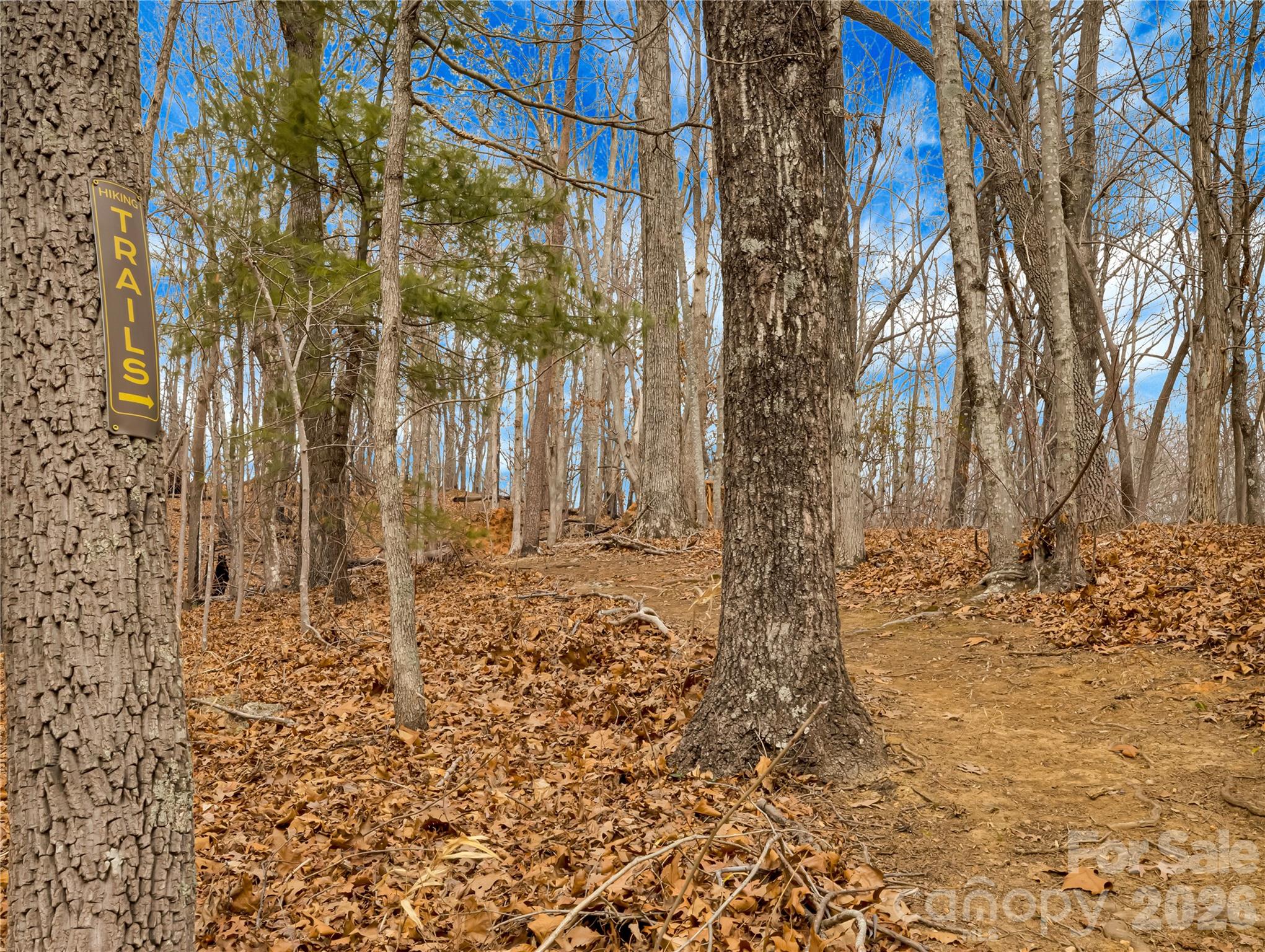 184 Deep Woods Lane Saluda NC 28773