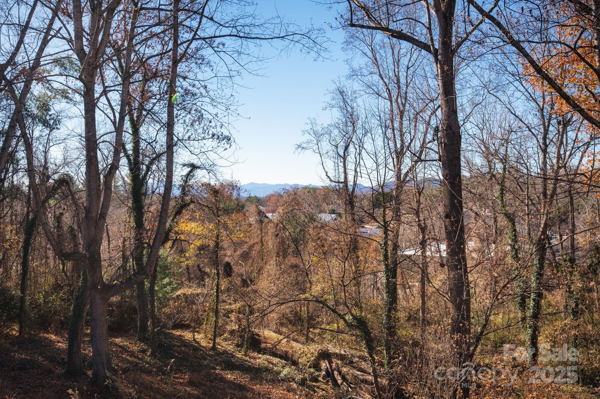 38 Wildwood Avenue Asheville NC 28804