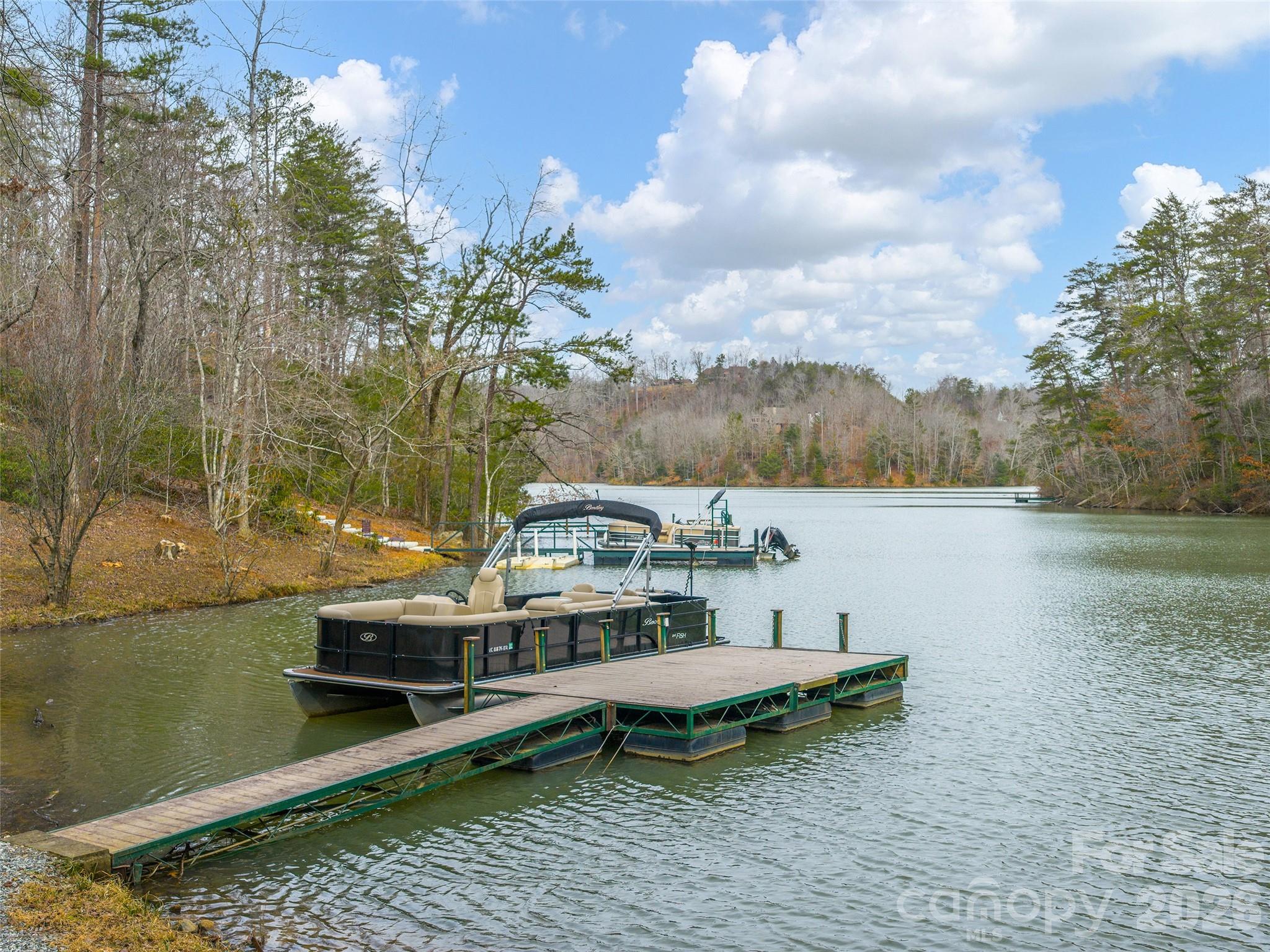 201 Hawk Ridge Drive Mill Spring NC 28756