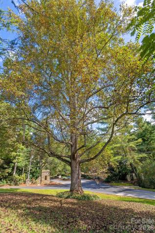 91 Haw Creek Circle Asheville NC 28805