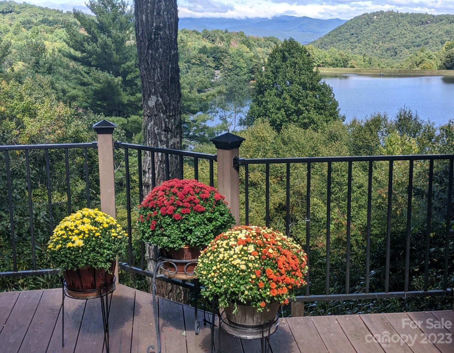 258 Tsalagi Drive Brevard NC 28712