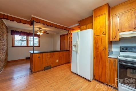 175 & 179 River Lane Canton NC 28716