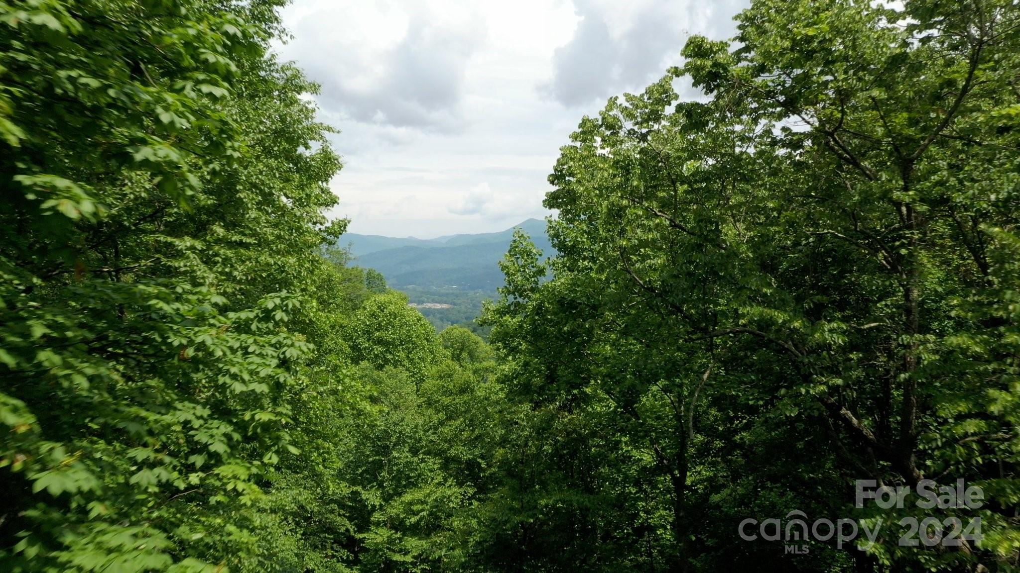 62 Will Campbell Road Swannanoa NC 28778