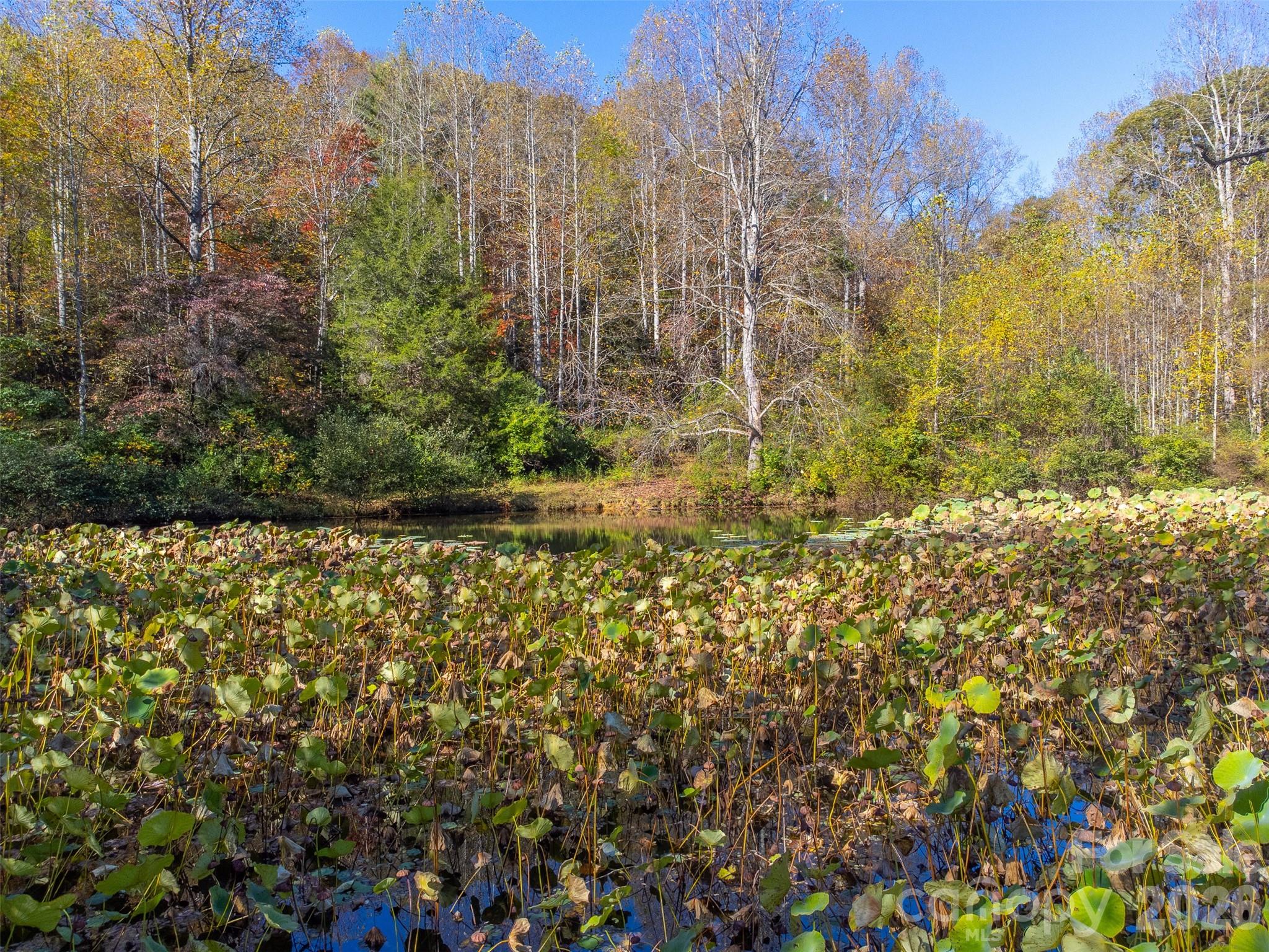 120 Trimont Trail Franklin NC 28734