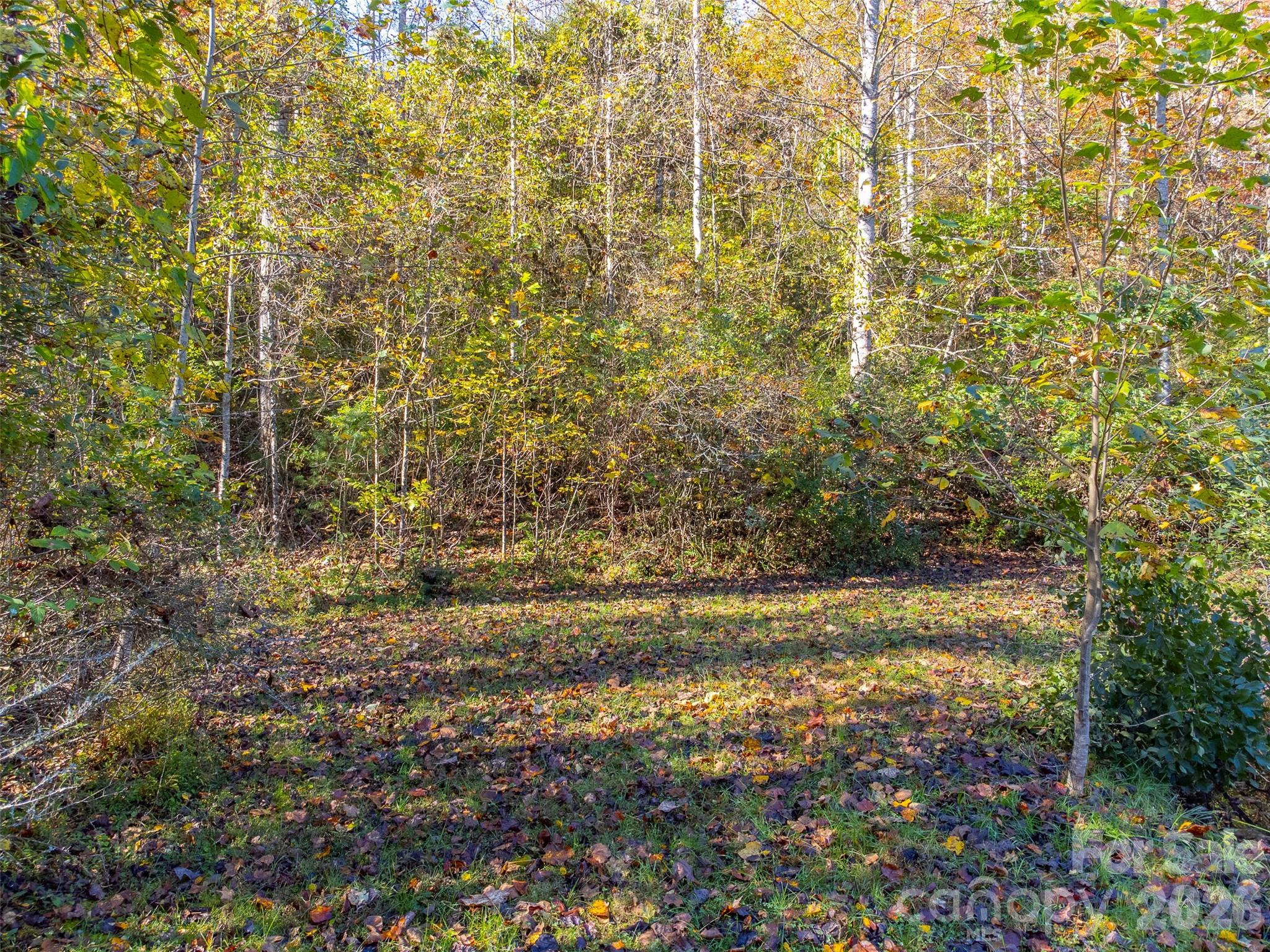 120 Trimont Trail Franklin NC 28734