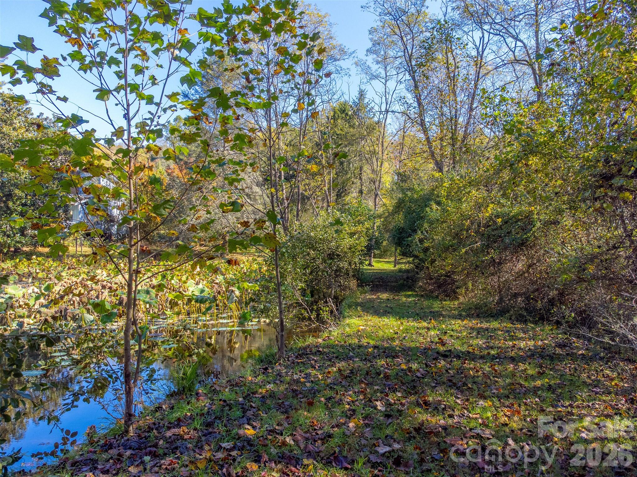 120 Trimont Trail Franklin NC 28734