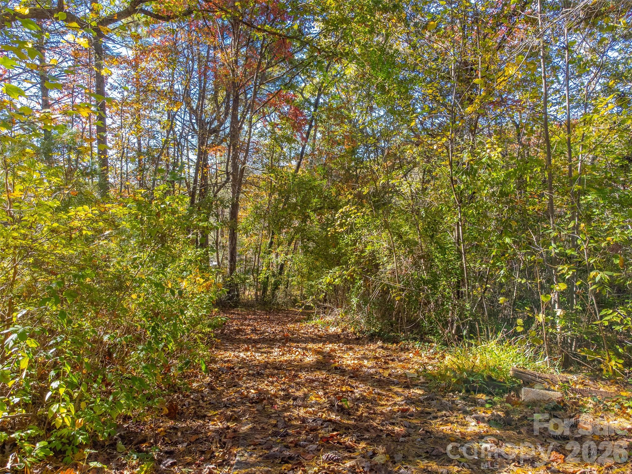 120 Trimont Trail Franklin NC 28734