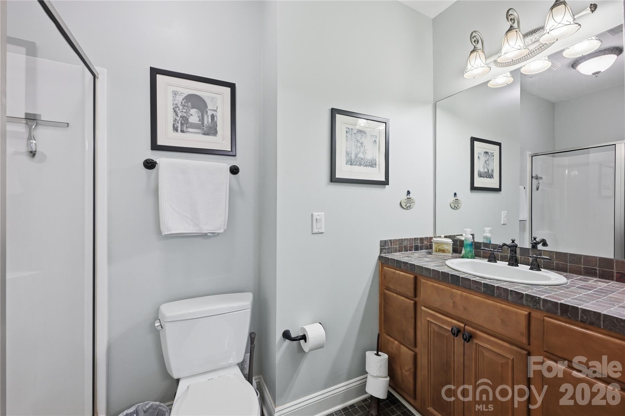 163 W Maranta Road Mooresville NC 28117