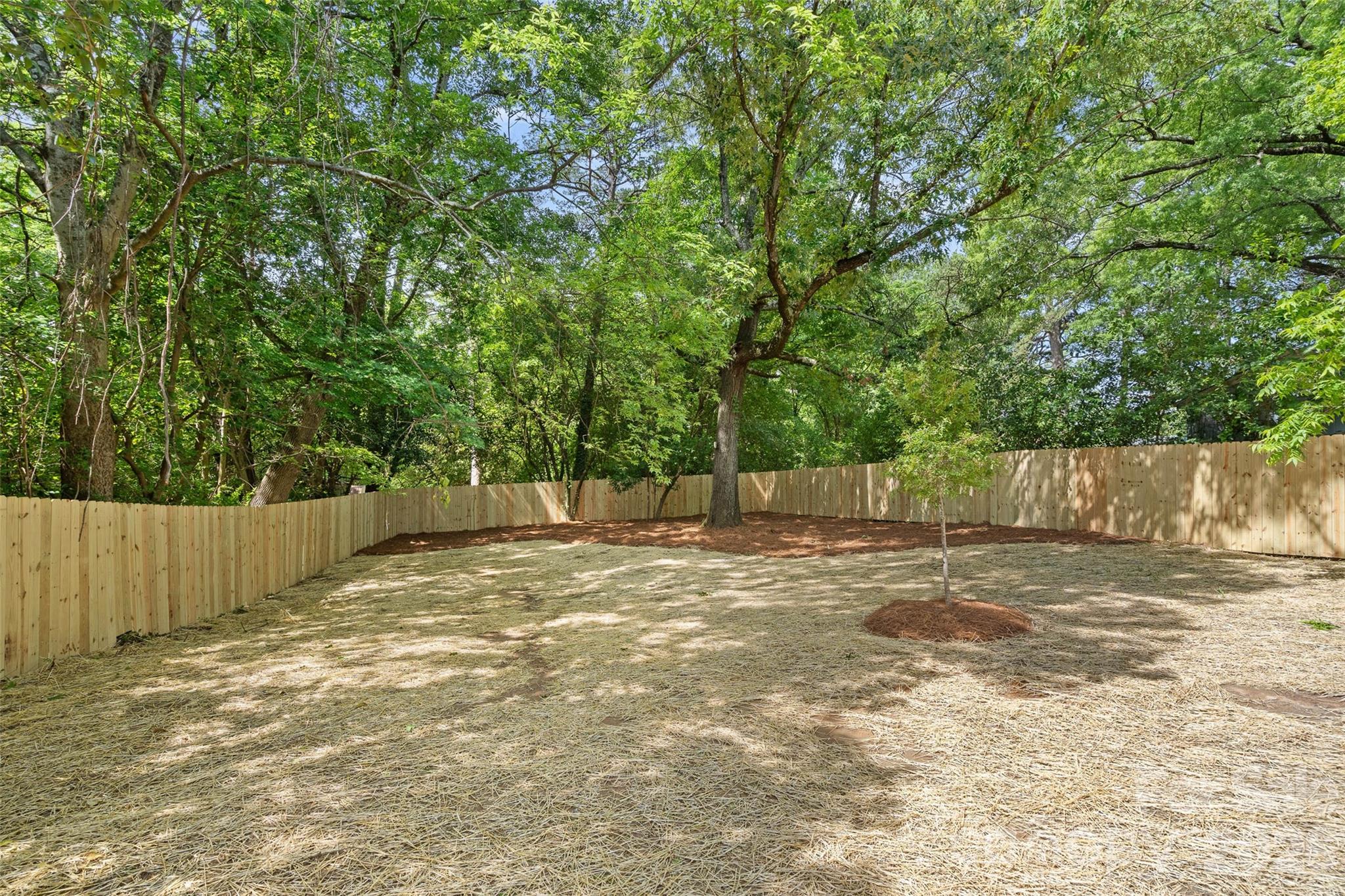 709 Norris Avenue Charlotte NC 28206