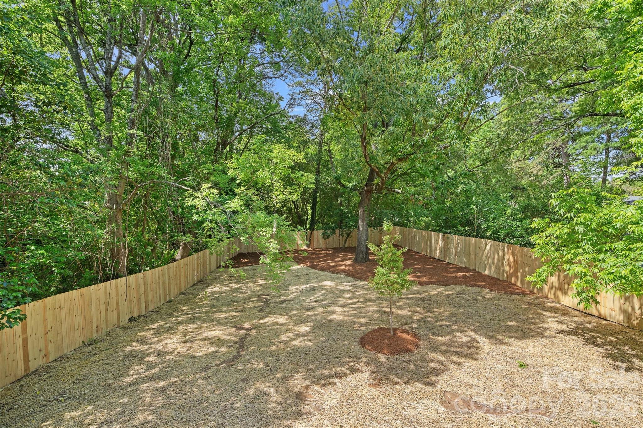 709 Norris Avenue Charlotte NC 28206