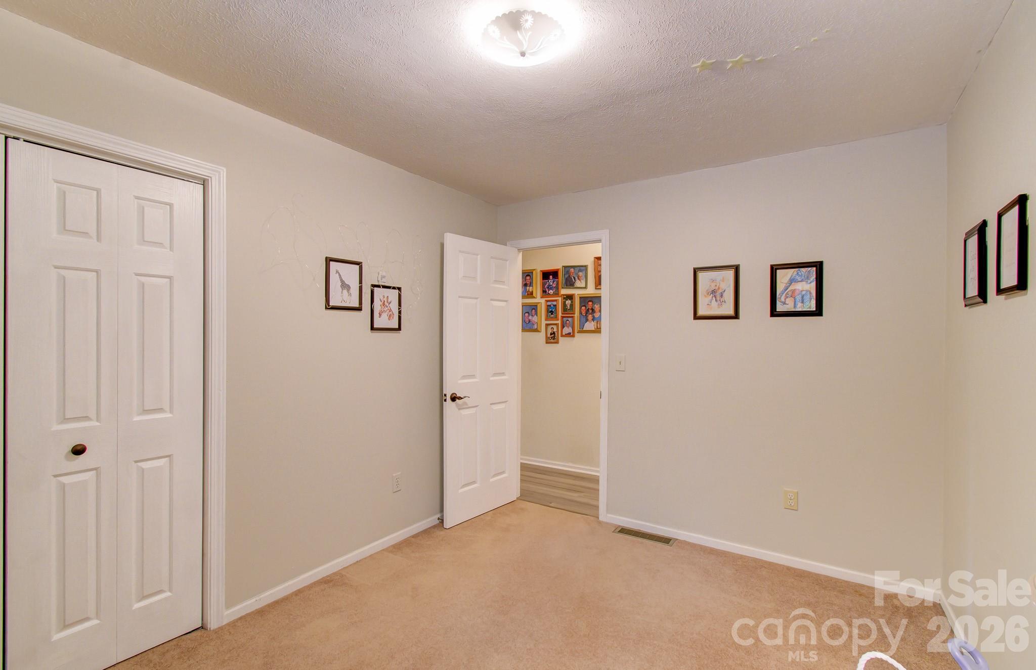 110 Spring Path Hendersonville NC 28739
