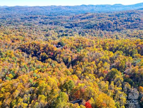 110 Spring Path Hendersonville NC 28739