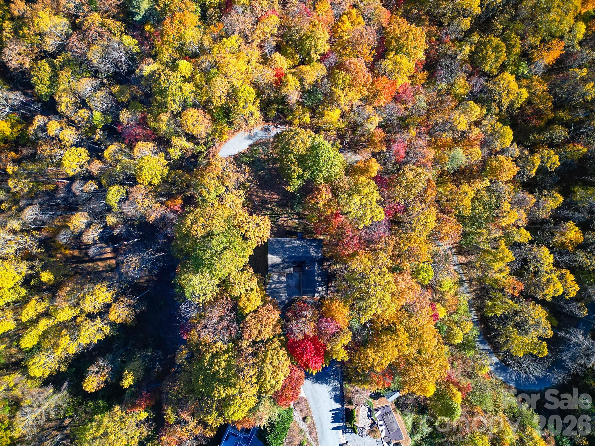 110 Spring Path Hendersonville NC 28739