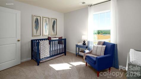 602 Dazzle Loop Newton NC 28658