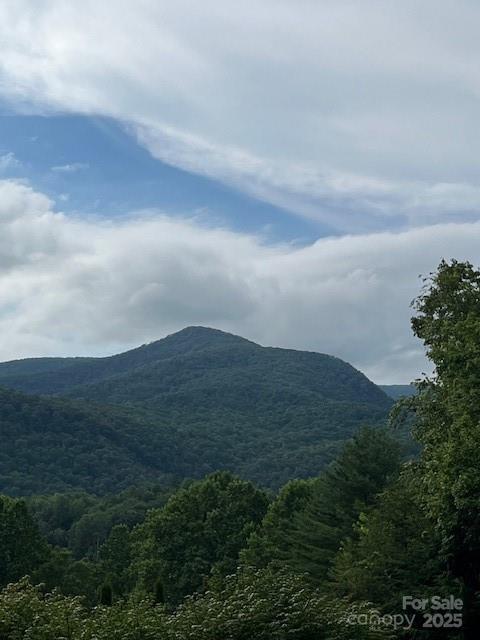 5 Old Cove Road Black Mountain NC 28711