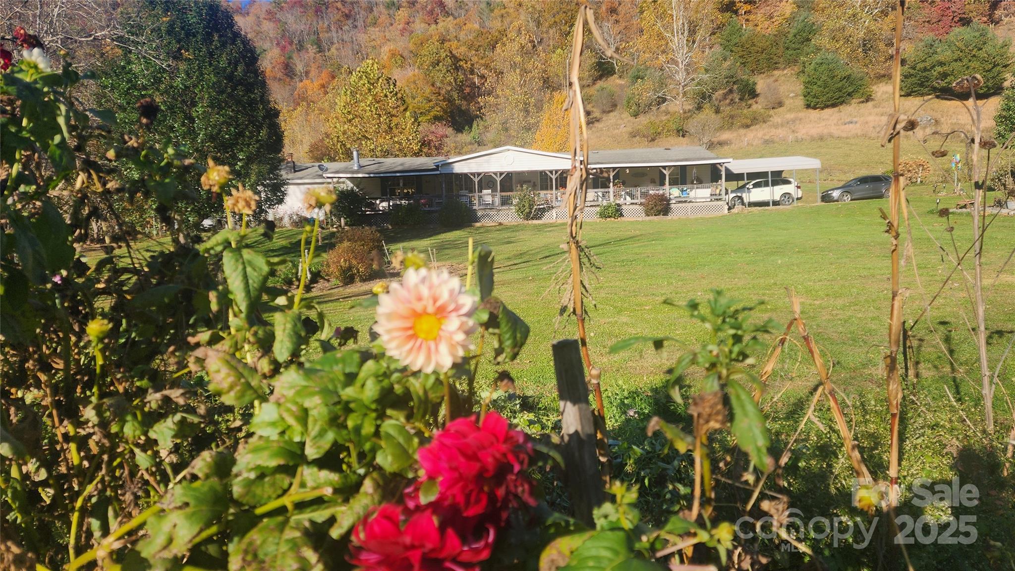 141 Hungry Creek Road Canton NC 28716
