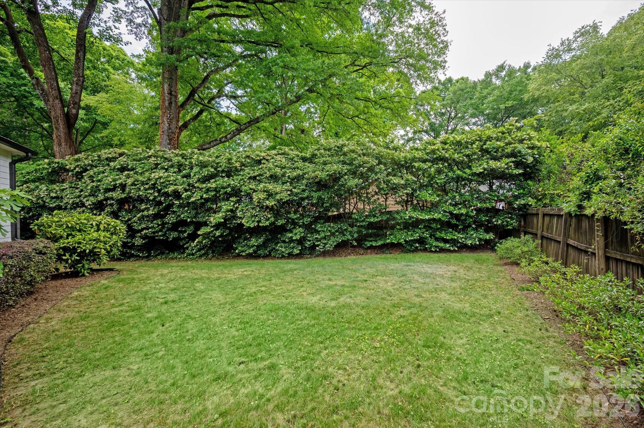 1031 Cutler Place Charlotte NC 28205