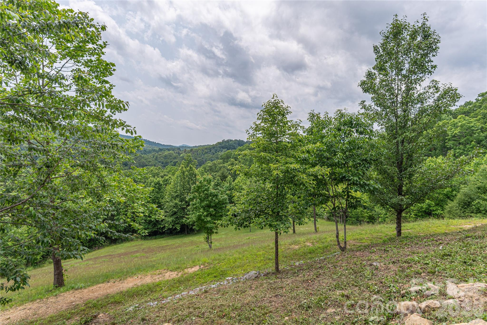 930 Big Raven Lane Saluda NC 28773