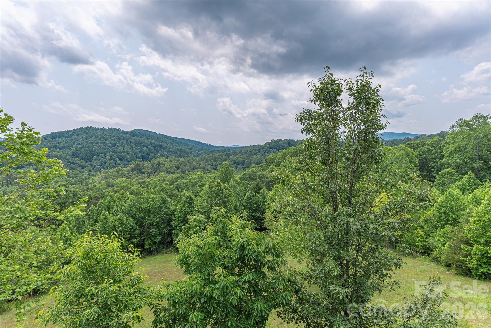 930 Big Raven Lane Saluda NC 28773