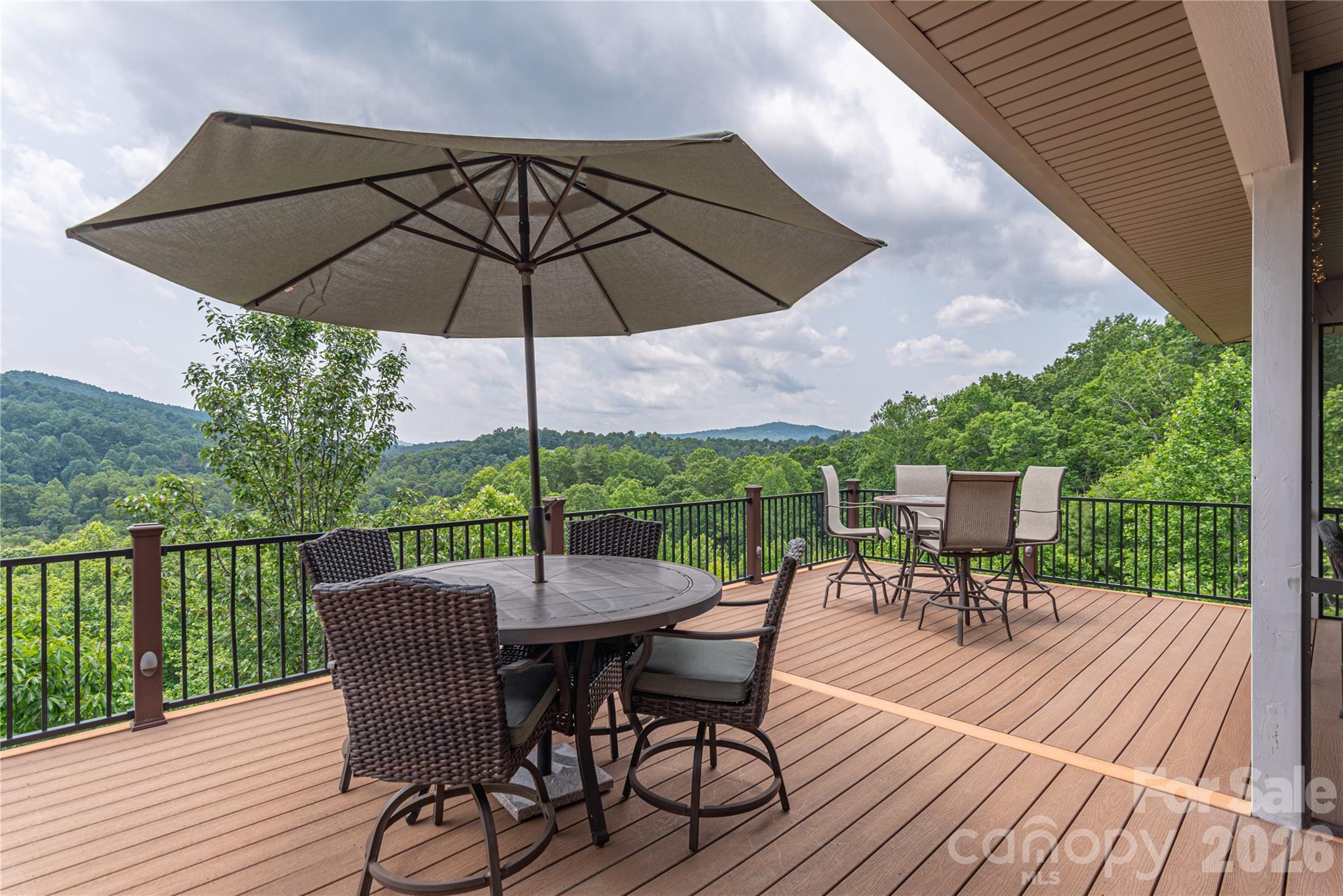 930 Big Raven Lane Saluda NC 28773
