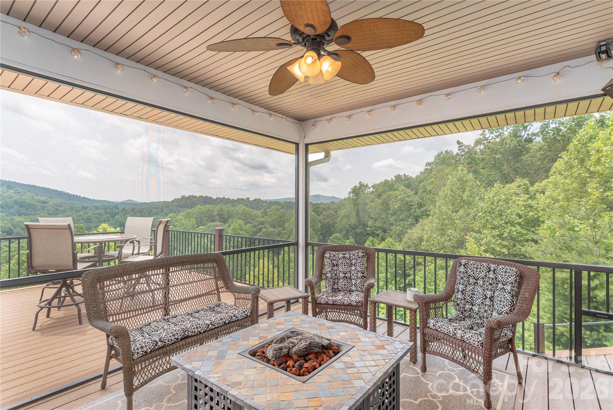 930 Big Raven Lane Saluda NC 28773