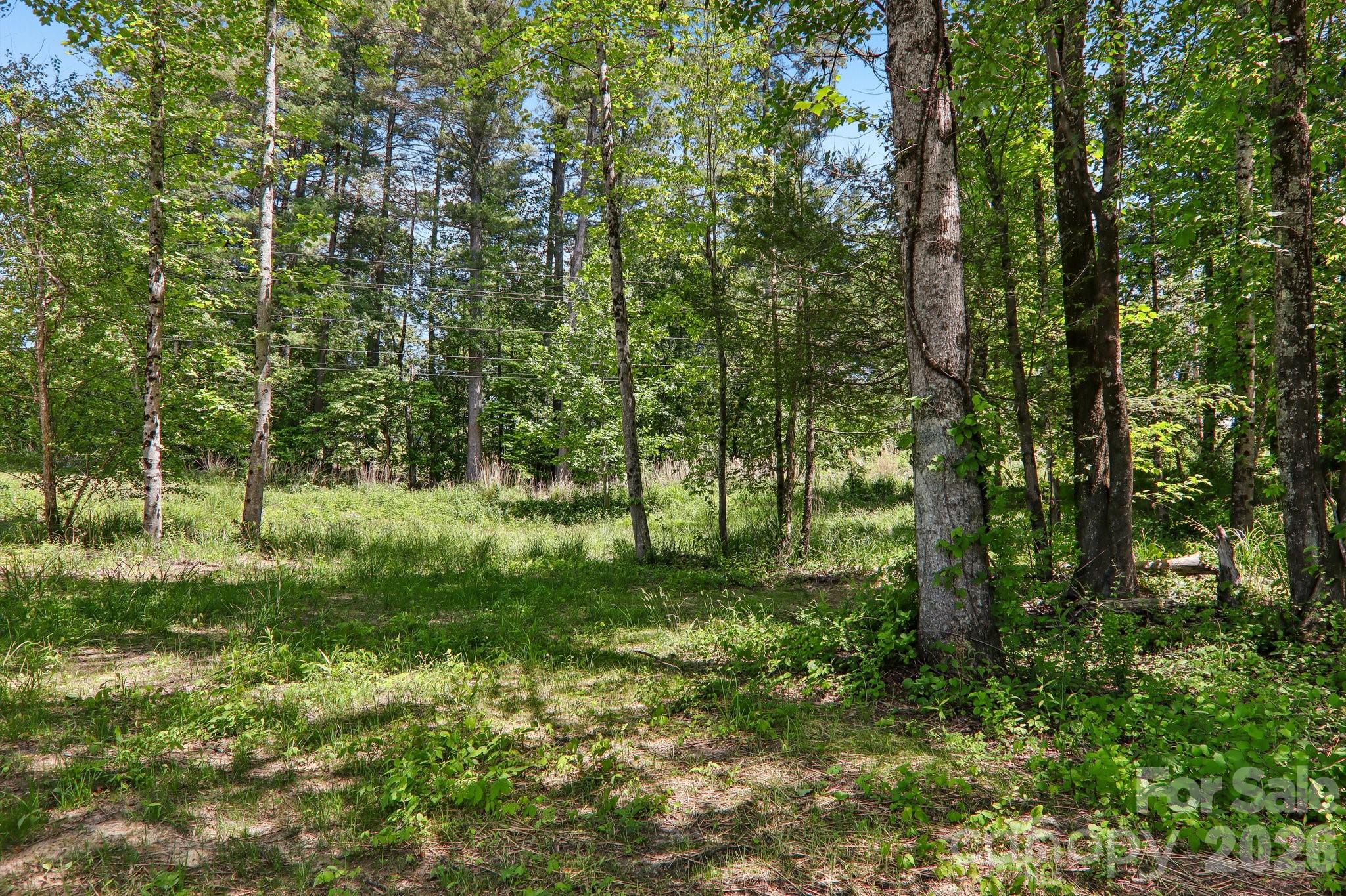 36 Haywood Crossing Drive Hendersonville NC 28791