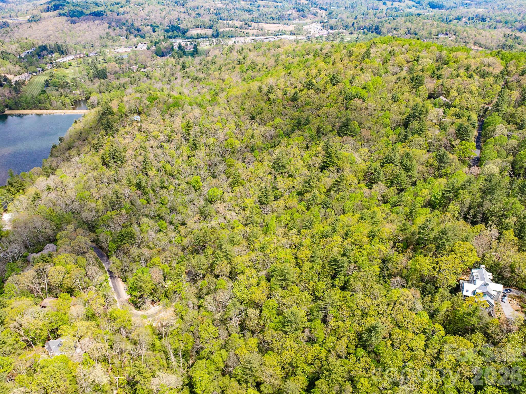 1971 Swiss Pine Lake Drive Spruce Pine NC 28777