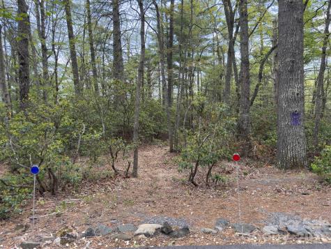 1971 Swiss Pine Lake Drive Spruce Pine NC 28777