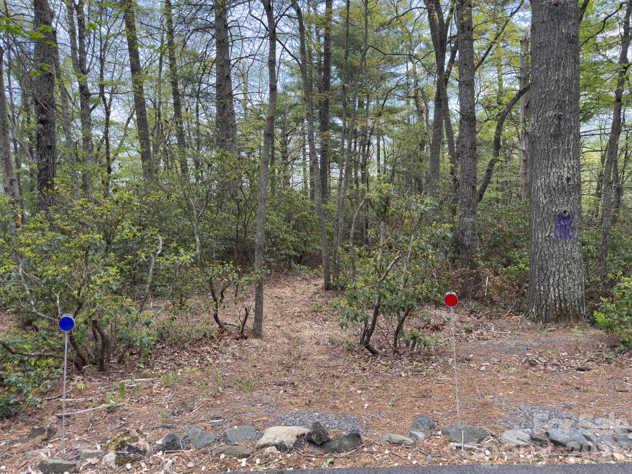 1971 Swiss Pine Lake Drive Spruce Pine NC 28777