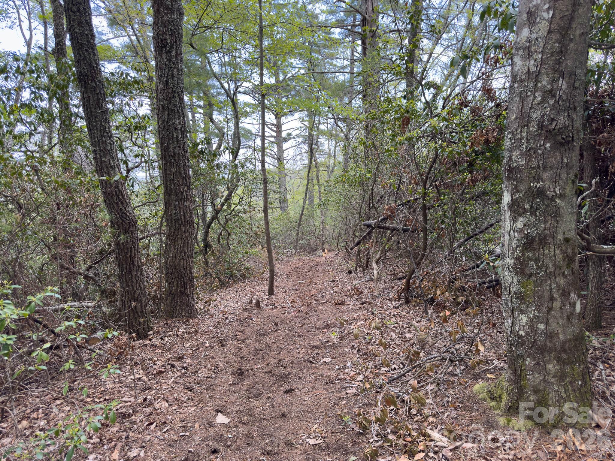 1971 Swiss Pine Lake Drive Spruce Pine NC 28777
