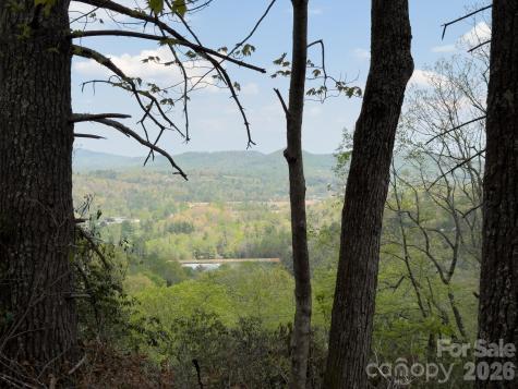 1971 Swiss Pine Lake Drive Spruce Pine NC 28777