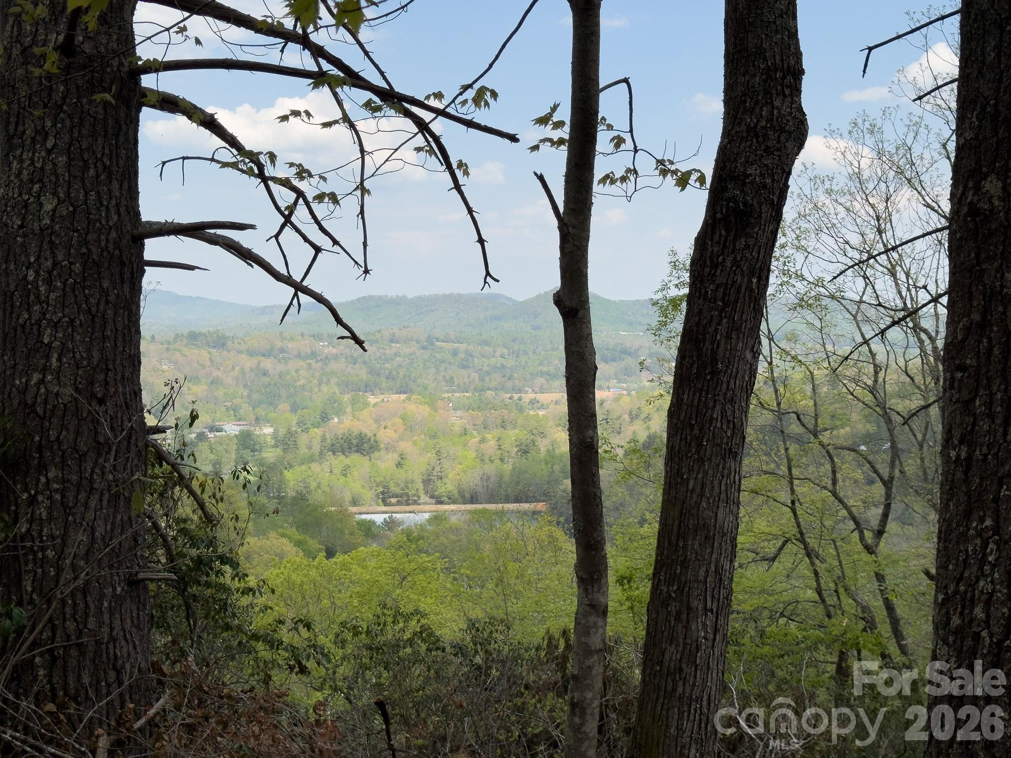 1971 Swiss Pine Lake Drive Spruce Pine NC 28777