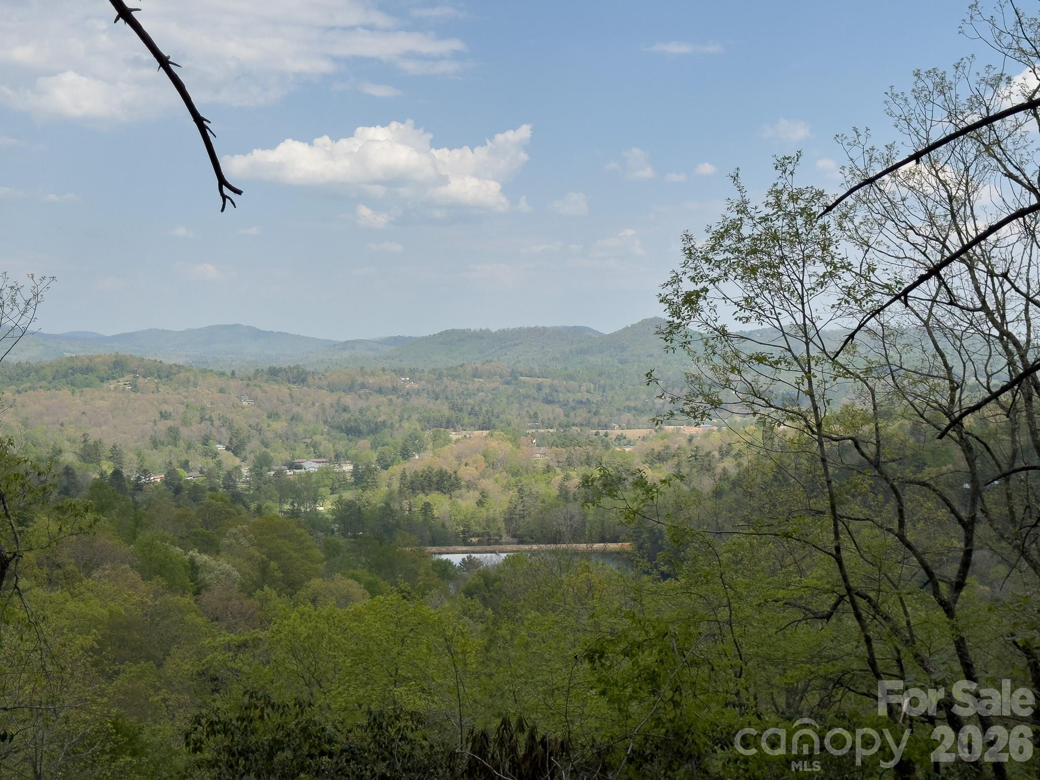 1971 Swiss Pine Lake Drive Spruce Pine NC 28777