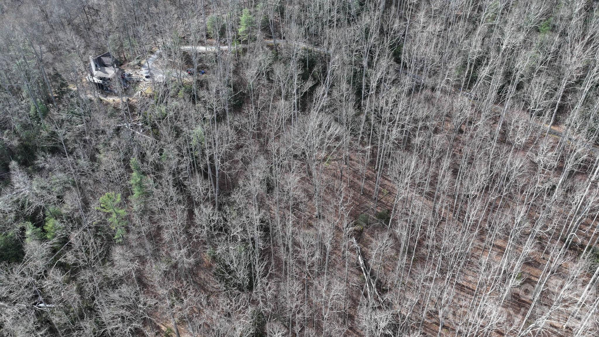 1971 Swiss Pine Lake Drive Spruce Pine NC 28777