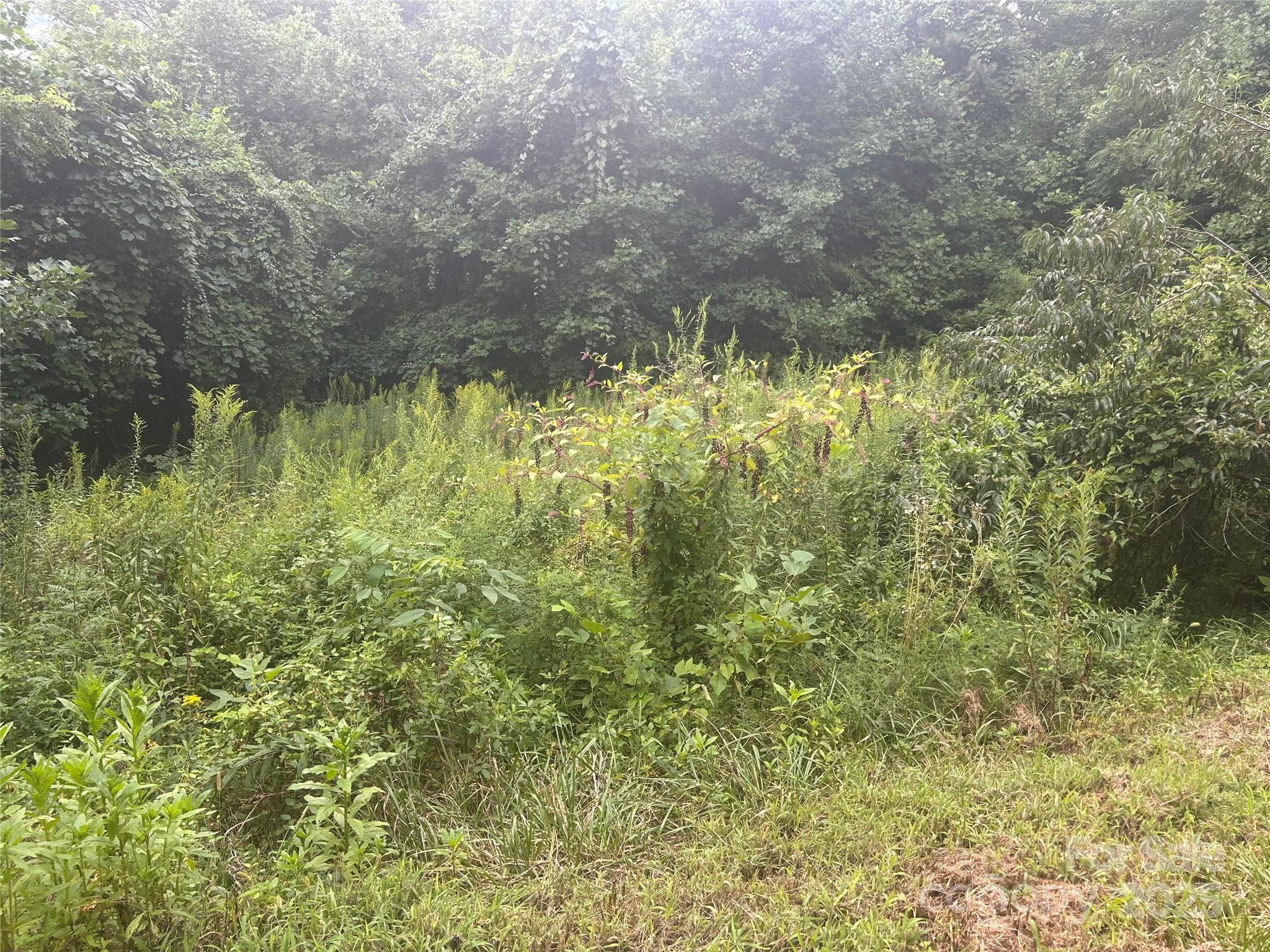103 Cambridge Way Waynesville NC 28786