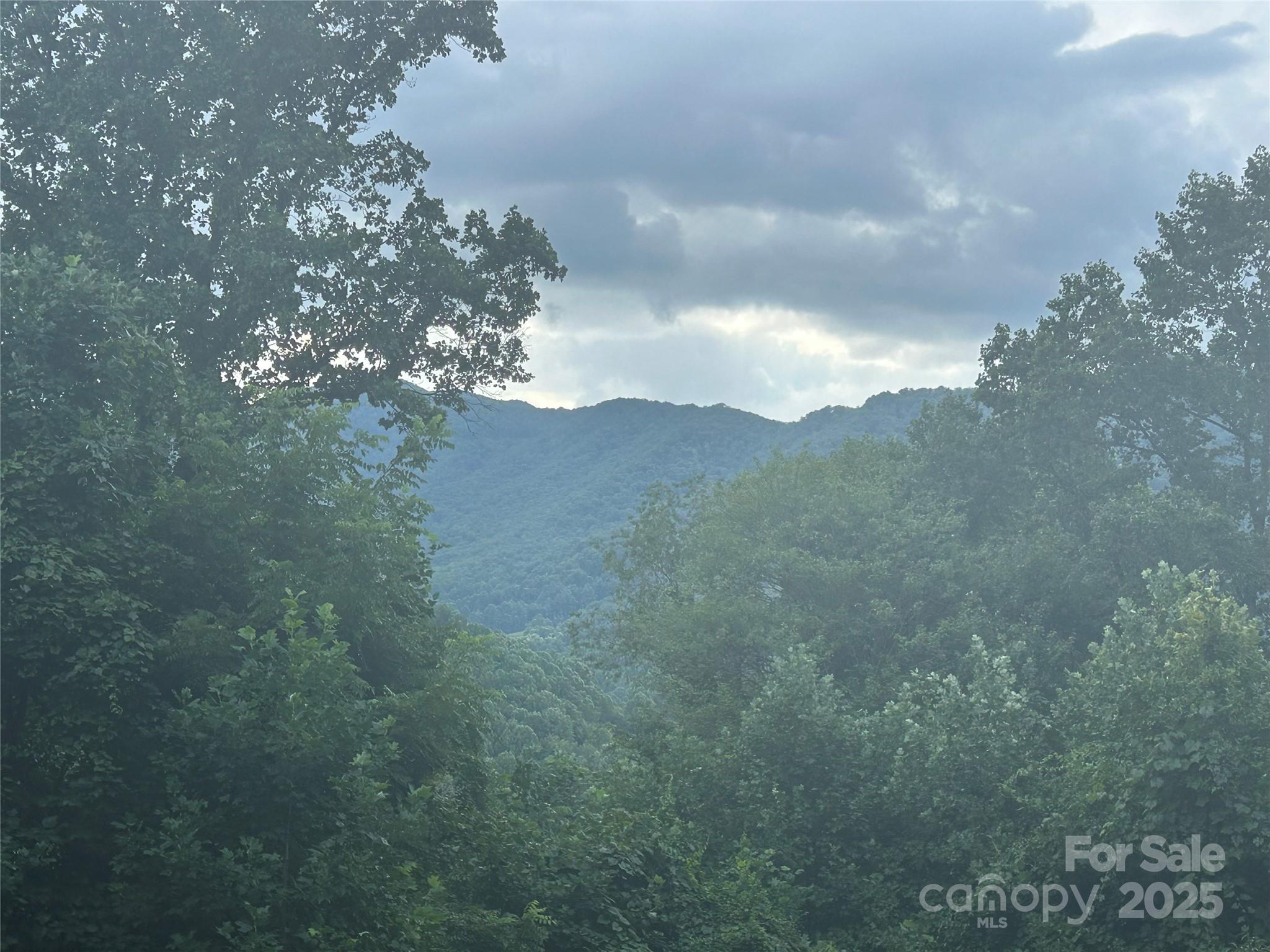 103 Cambridge Way Waynesville NC 28786