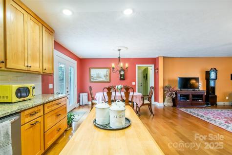 25 N Willow Brook Drive Asheville NC 28806